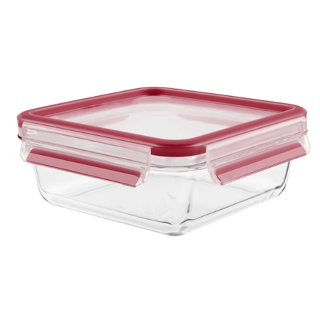 MasterSealGLARuostumaton Teräs fresh box sq 0.9L