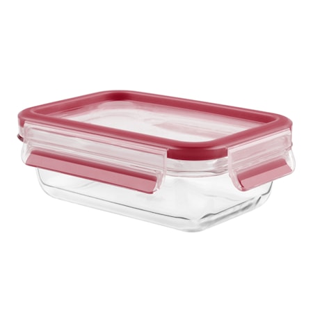 MasterSeal GLARuostumaton Teräs fresh box rect 1.3L